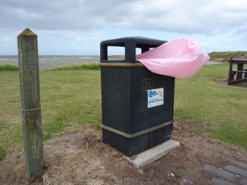 Trash Can Blowing Raspberry