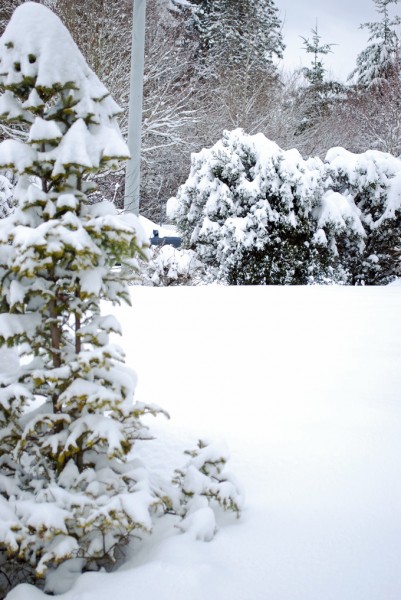 Sweaters and Skirts and Snow